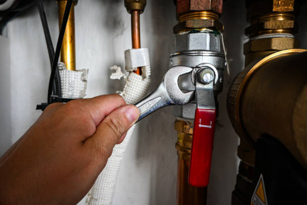 Best Same-Day Plumbing Service  in Dupont, PA